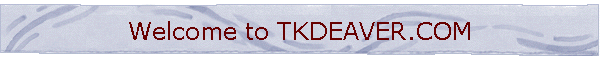 Welcome to TKDEAVER.COM